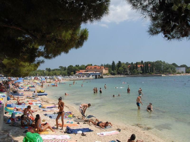 Two Bedroom Apartment, Nice Neighborhood, Free Parking, Wifi Πούλα Εξωτερικό φωτογραφία
