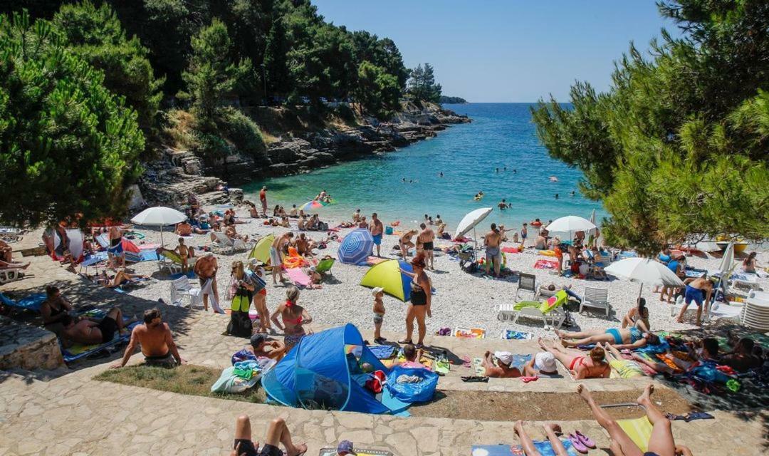 Two Bedroom Apartment, Nice Neighborhood, Free Parking, Wifi Πούλα Εξωτερικό φωτογραφία