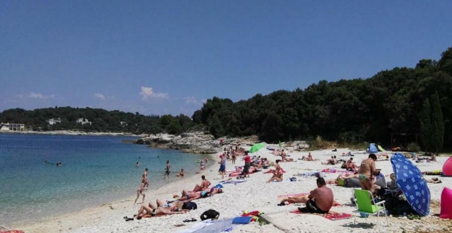 Two Bedroom Apartment, Nice Neighborhood, Free Parking, Wifi Πούλα Εξωτερικό φωτογραφία